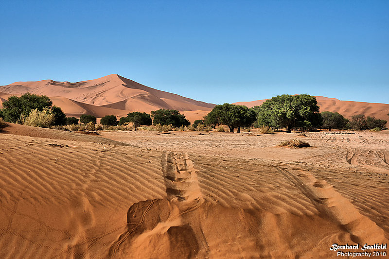 Bernhard Saalfeld - GI - Deine Spuren im Sand